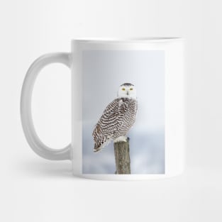 Snowy Owl Mug